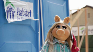 The stars of <i>The Muppets </i>finally learn to play nice